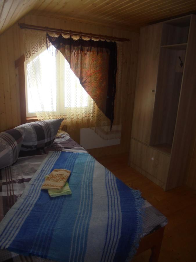 Lisovychok Villa Vorochta Exteriör bild