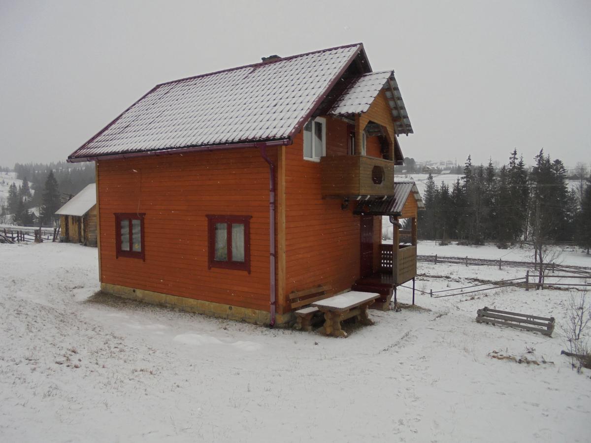 Lisovychok Villa Vorochta Exteriör bild