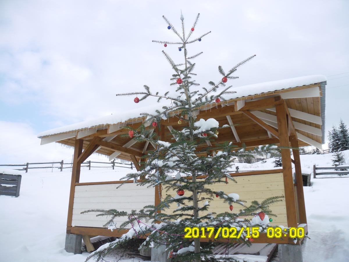 Lisovychok Villa Vorochta Exteriör bild