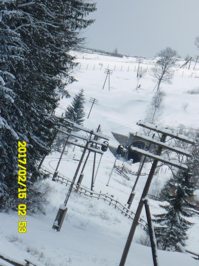 Lisovychok Villa Vorochta Exteriör bild