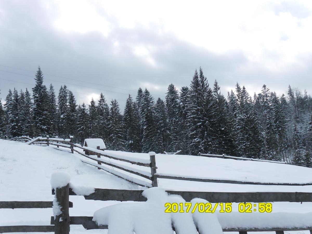 Lisovychok Villa Vorochta Exteriör bild