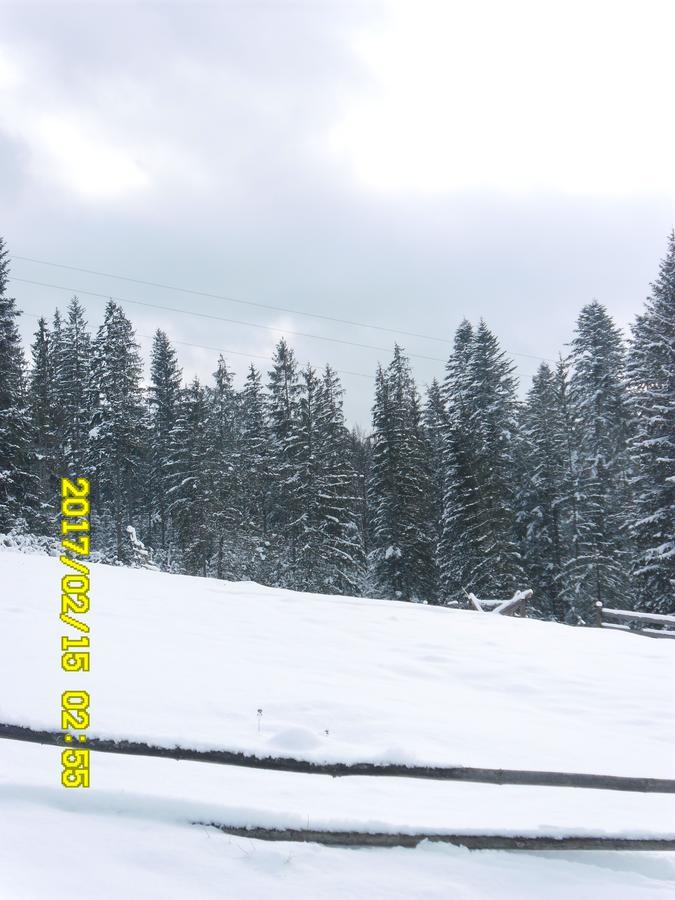 Lisovychok Villa Vorochta Exteriör bild