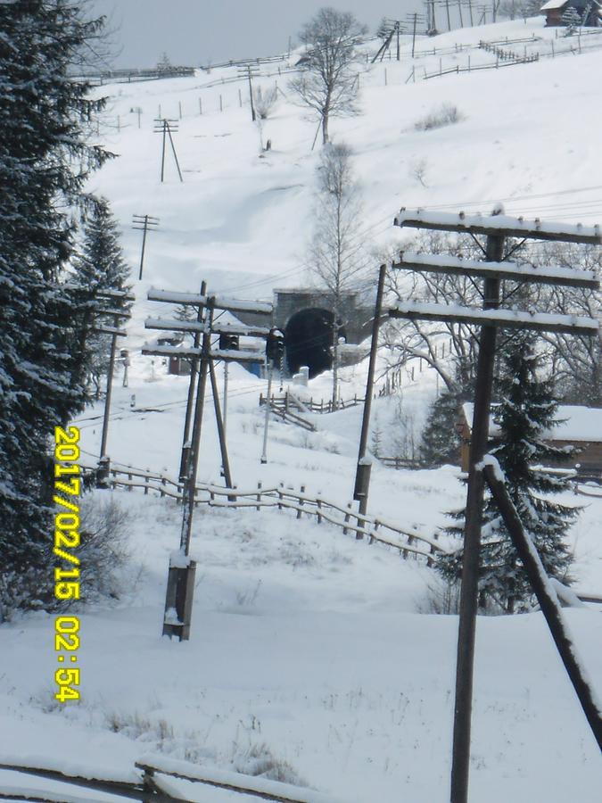 Lisovychok Villa Vorochta Exteriör bild