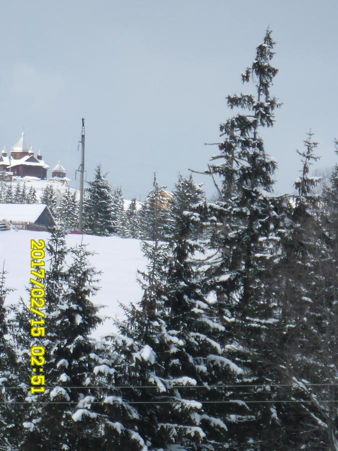 Lisovychok Villa Vorochta Exteriör bild