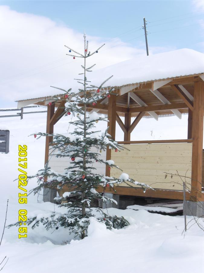 Lisovychok Villa Vorochta Exteriör bild