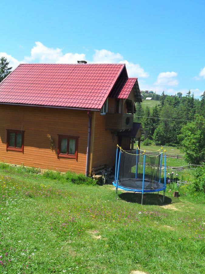 Lisovychok Villa Vorochta Exteriör bild