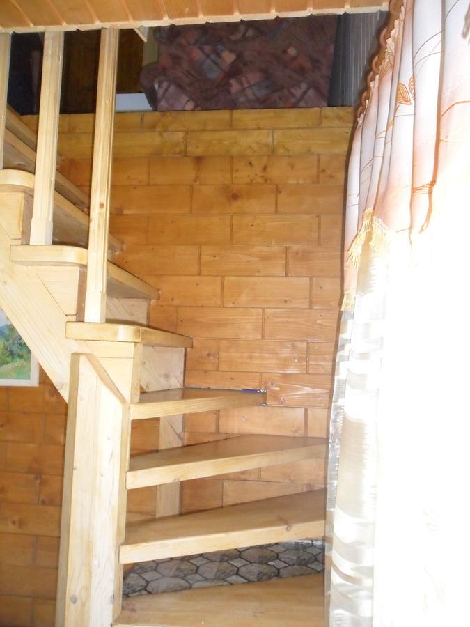Lisovychok Villa Vorochta Exteriör bild