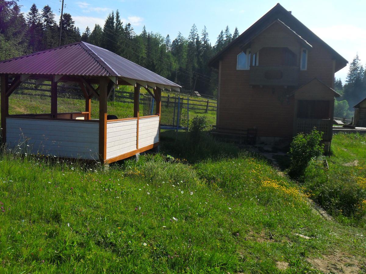 Lisovychok Villa Vorochta Exteriör bild
