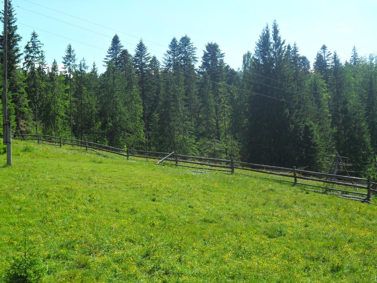 Lisovychok Villa Vorochta Exteriör bild